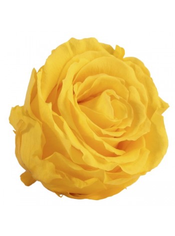 Желтая роза в стеклянной колбе классик