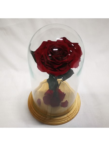 Бордовая роза в стеклянной колбе королевская