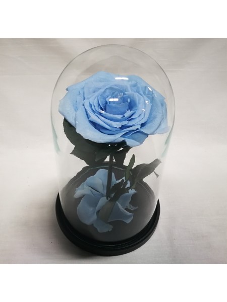 Голубая роза в стеклянной колбе королевская