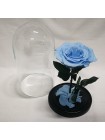 Голубая роза в стеклянной колбе королевская