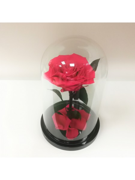 Малиновая роза в стеклянной колбе королевская