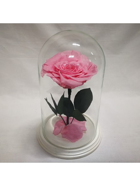 Розовая роза в стеклянной колбе королевская