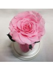 Розовая роза в стеклянной колбе королевская