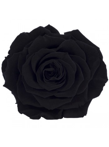 Черная с "серебром" роза в стеклянной колбе люкс