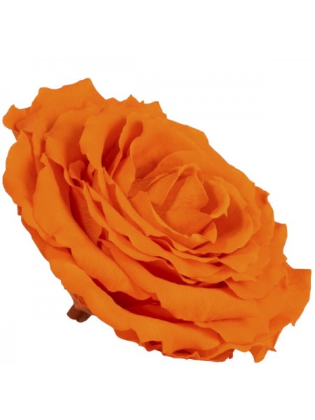Оранжевая роза в стеклянной колбе люкс