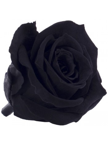 Черная с "серебром" роза в стеклянной колбе мини