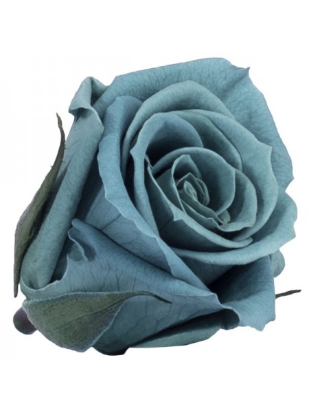 Голубая роза в стеклянной колбе мини