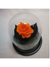 Оранжевая роза в стеклянной колбе мини