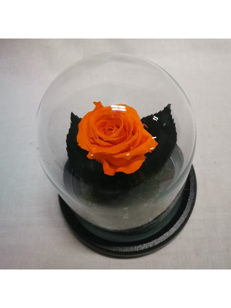 Оранжевая роза в стеклянной колбе мини