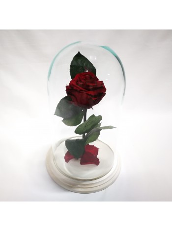 Бордовая роза в стеклянной колбе премиум