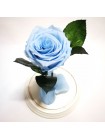 Голубая роза в стеклянной колбе премиум