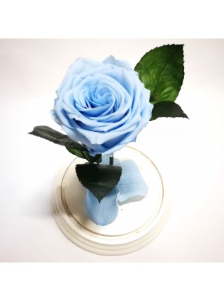 Голубая роза в стеклянной колбе премиум 32