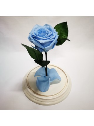 Голубая роза в стеклянной колбе премиум