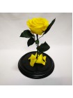Желтая роза в стеклянной колбе премиум