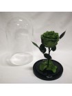 Зеленая роза в стеклянной колбе премиум