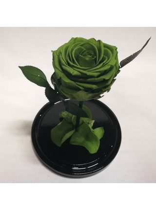 Зеленая роза в стеклянной колбе премиум 32