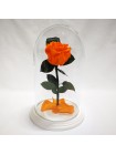 Оранжевая роза в стеклянной колбе премиум