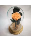 Персиковая роза в стеклянной колбе премиум