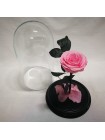 Розовая роза в стеклянной колбе премиум