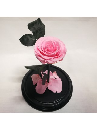 Розовая роза в стеклянной колбе премиум 32