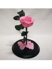 Розовая роза в стеклянной колбе премиум