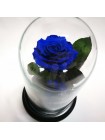 Синяя роза в стеклянной колбе премиум