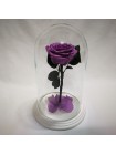 Сиреневая роза в стеклянной колбе премиум