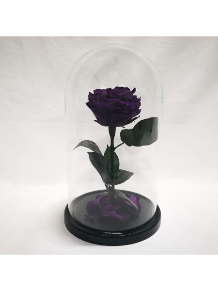 Темно-сиреневая роза в стеклянной колбе премиум