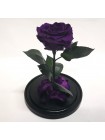 Темно-сиреневая роза в стеклянной колбе премиум