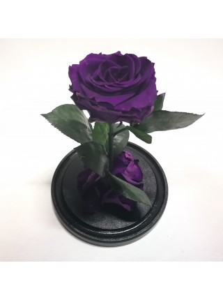 Темно-сиреневая роза в стеклянной колбе премиум 32