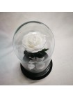 Белая роза в стеклянной колбе премиум