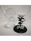 Белая роза в стеклянной колбе премиум