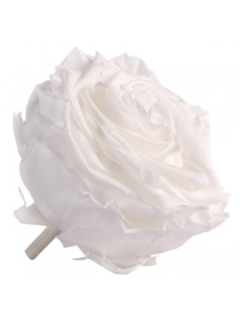 Белая роза в стеклянной колбе премиум 32
