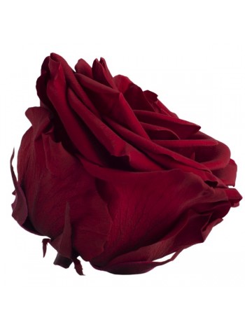 Бордовая роза в стеклянной колбе премиум 32