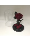 Бордовая роза в стеклянной колбе премиум 20