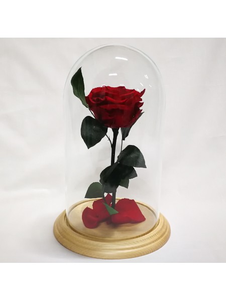 Красная роза в стеклянной колбе премиум