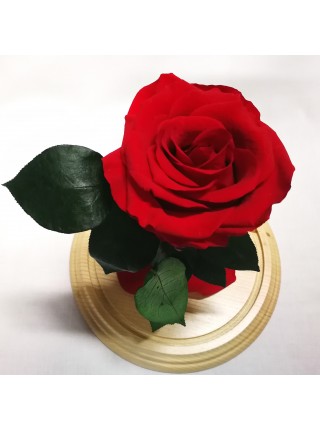 Красная роза в стеклянной колбе премиум 32