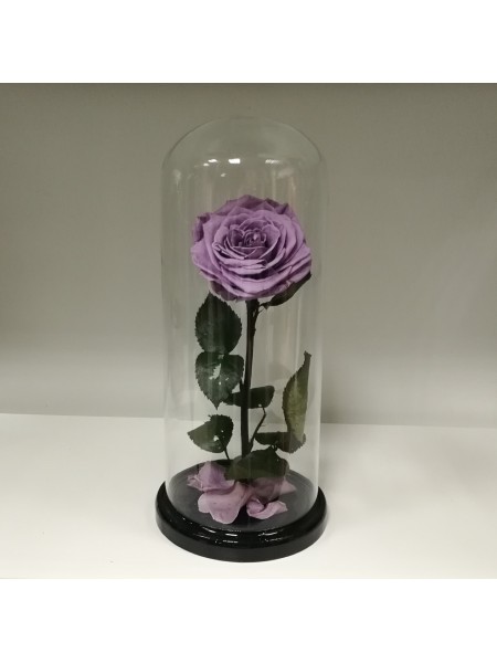 Сиреневая роза в стеклянной колбе премиум 32
