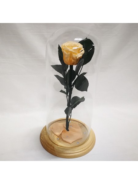 Персиковая роза в стеклянной колбе стандарт 32
