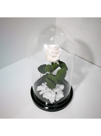Белая роза в стеклянной колбе стандарт