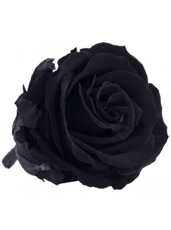 Черная с "серебром" роза в стеклянной колбе стандарт 32