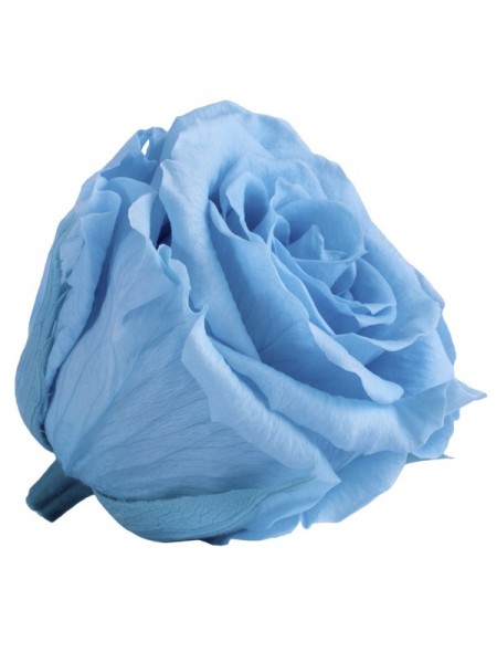 Голубая роза в стеклянной колбе стандарт
