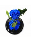 Синяя роза в стеклянной колбе стандарт 32