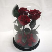 Три бордовые розы премиум в стеклянной колбе