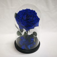Синяя роза в стеклянной колбе люкс