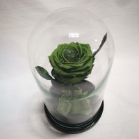 Зеленая роза в стеклянной колбе премиум