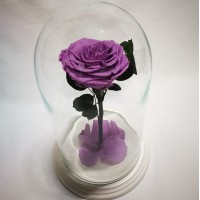 Сиреневая роза в стеклянной колбе премиум