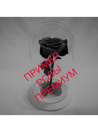Черная роза в стеклянной колбе премиум